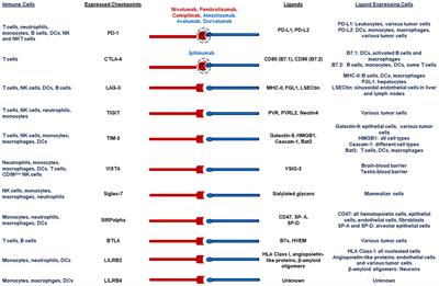 Comparison of Laboratory Methods for the Clinical Follow Up of Checkpoint Blockade Therapies in Leukemia: Current Status and Challenges Ahead